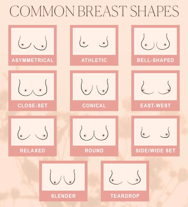 Different Breast Shapes and Types
